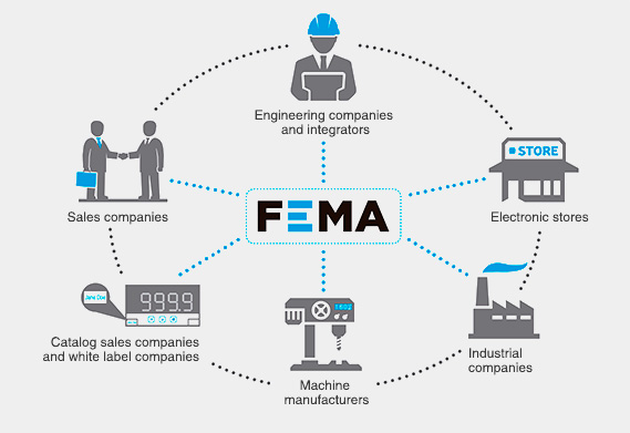 esquema-fema-en